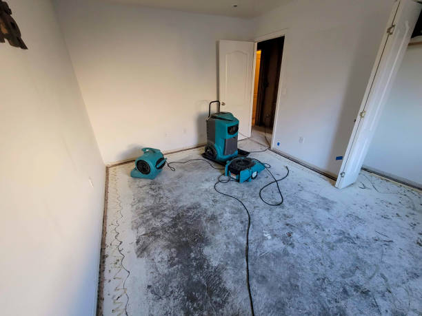 Best Emergency water extraction  in White Island Shores, MA