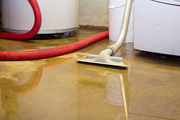 Best Residential water damage restoration  in White Island Shores, MA