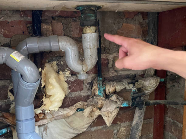 Best Water damage cleanup near me  in White Island Shores, MA