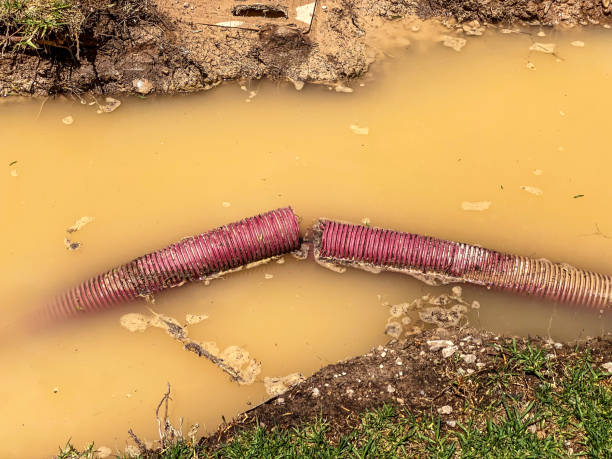 Best Basement water damage restoration  in White Island Shores, MA